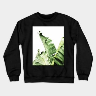 Banana leaves,Tropical leaves, Green leaves, Leaf, Modern art, Wall art, Print, Minimalistic, Modern, Scandinavian print Crewneck Sweatshirt